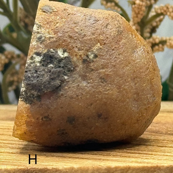 Coyamito Agate from Chihuahua Mexico - Picture 3 of 6